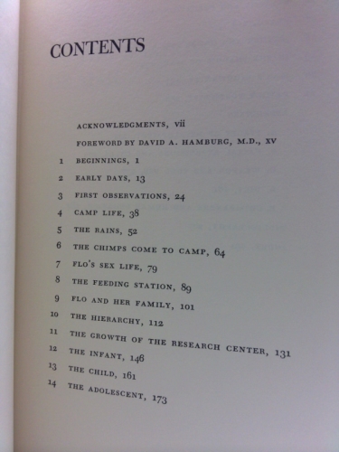 Actual Product Display 4