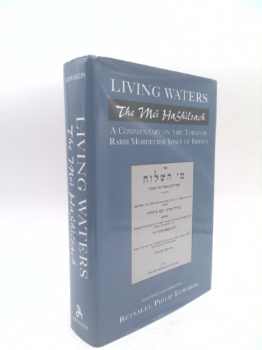 Living Waters: The Mei HaShiloach