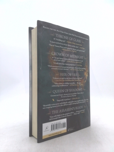 Actual Product Display 2