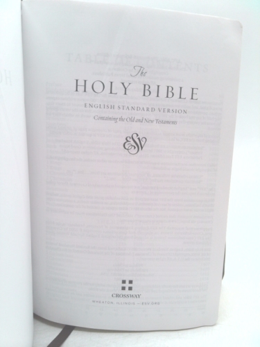 Actual Product Display 3