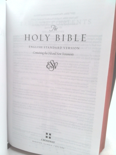 Actual Product Display 3