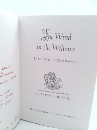 Actual Product Display 3