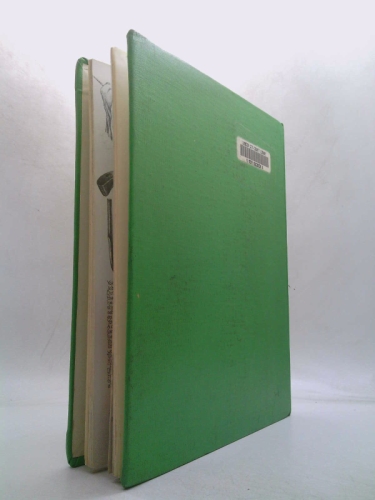 Actual Product Display 2