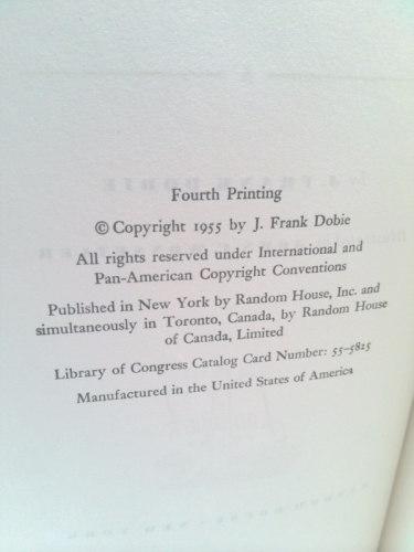 Actual Product Display 3