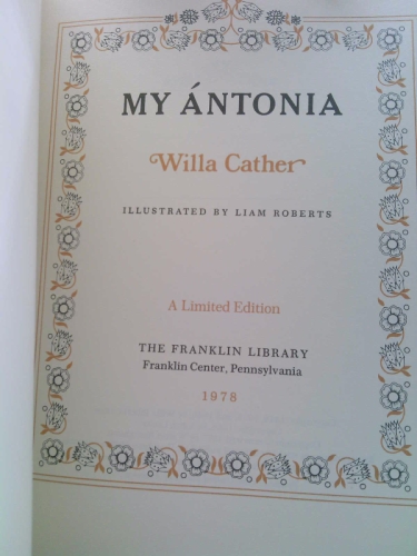 Actual Product Display 3