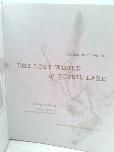 Actual Product Display 3