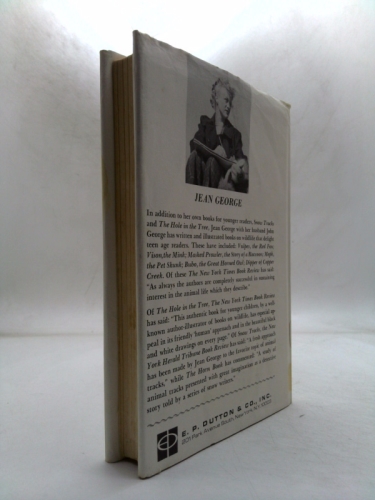 Actual Product Display 2