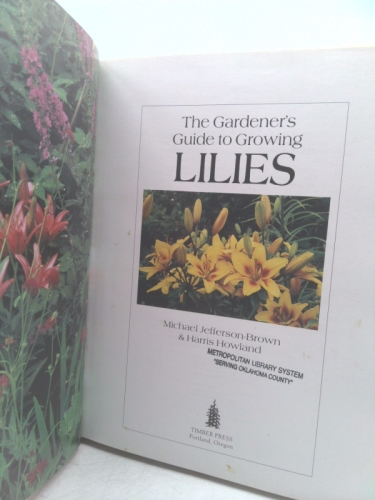 Actual Product Display 2