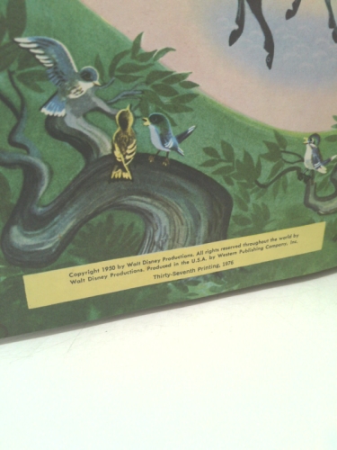 Actual Product Display 3