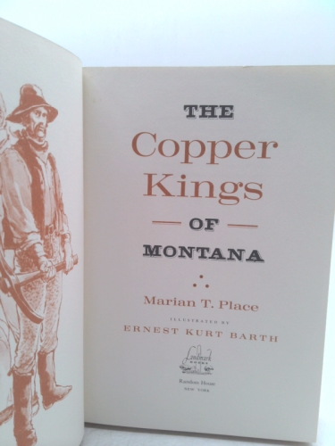 Actual Product Display 2