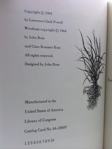 Actual Product Display 3