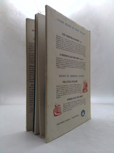 Actual Product Display 2