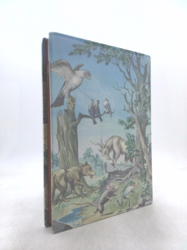 Actual Product Display 2