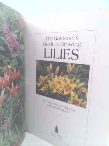 Actual Product Display 2