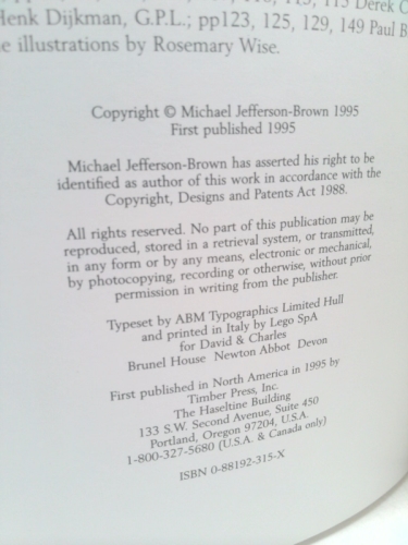 Actual Product Display 3