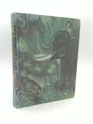 Actual Product Display Primary Cover