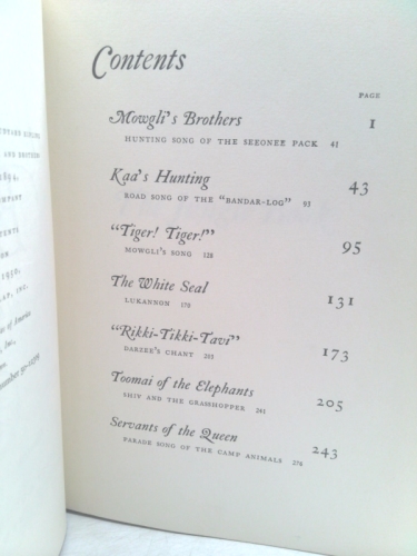 Actual Product Display 4