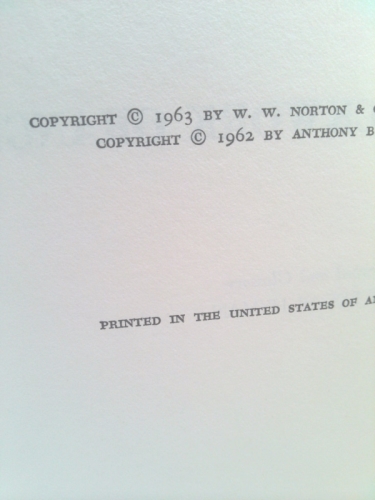 Actual Product Display 3