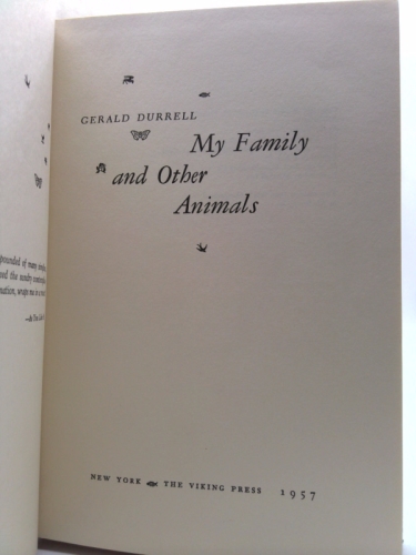 Actual Product Display 3