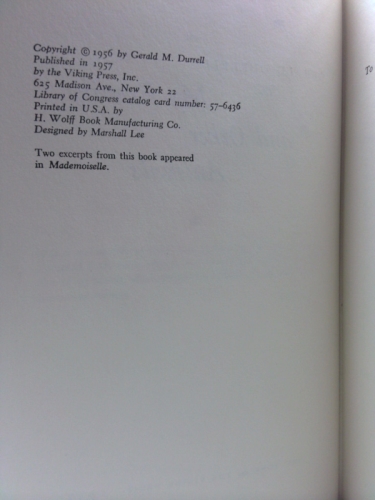 Actual Product Display 4