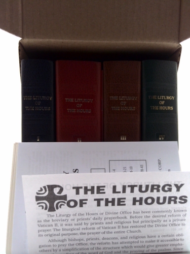 Actual Product Display 3