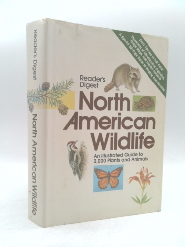 Actual Product Display Primary Cover
