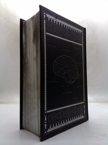 Actual Product Display 2