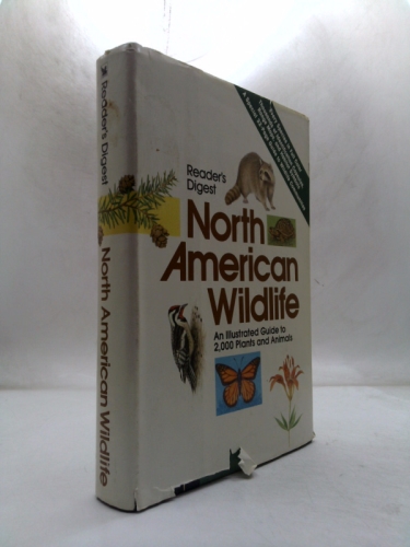 Actual Product Display Primary Cover