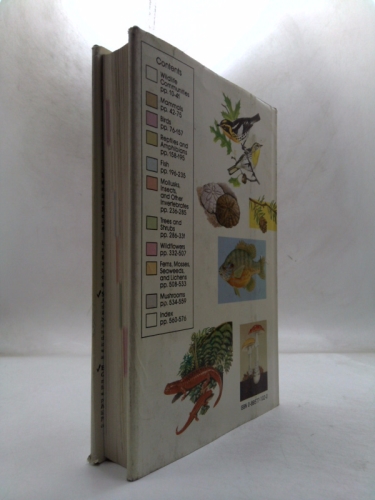 Actual Product Display 2