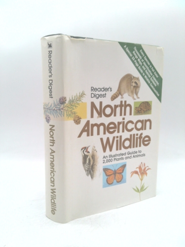Actual Product Display Primary Cover