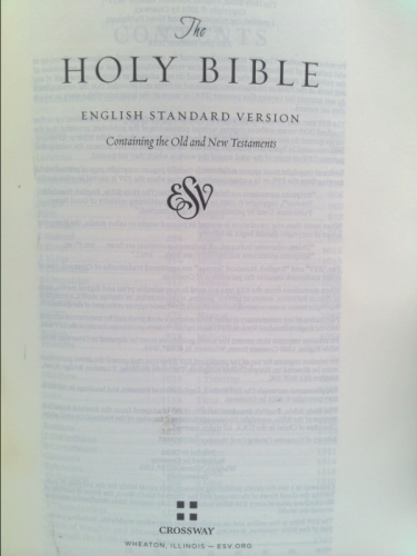 Actual Product Display 3