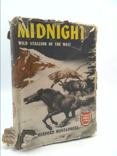 Midnight: Wild Stallion of the West