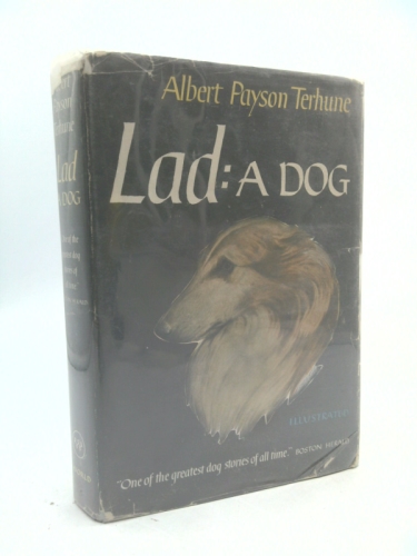 Lad: A Dog