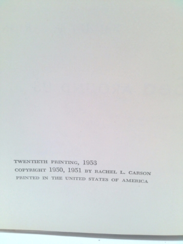 Actual Product Display 2