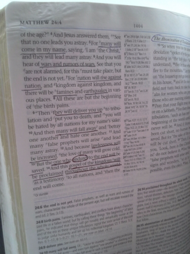 Actual Product Display 3