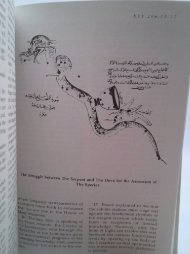 Actual Product Display 5