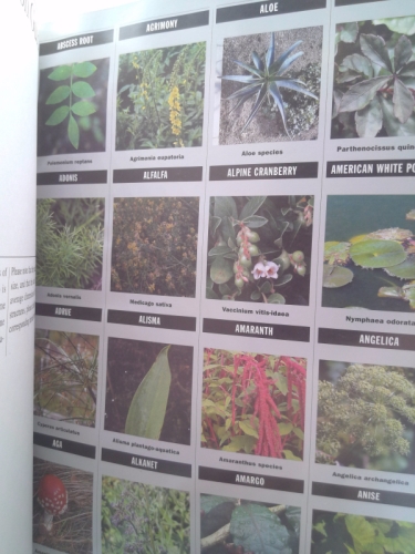 Actual Product Display 3