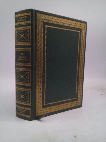 Actual Product Display Primary Cover