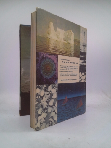 Actual Product Display 3