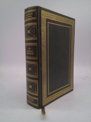 Actual Product Display Primary Cover