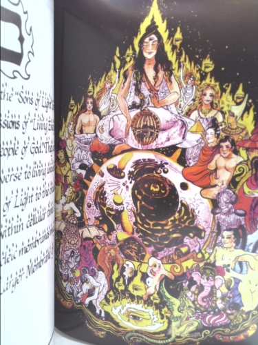 Actual Product Display 3