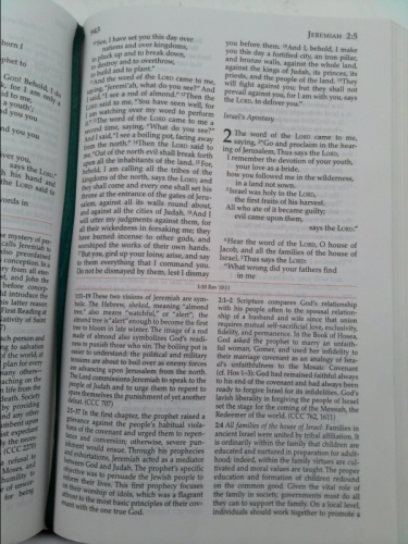 Actual Product Display 2