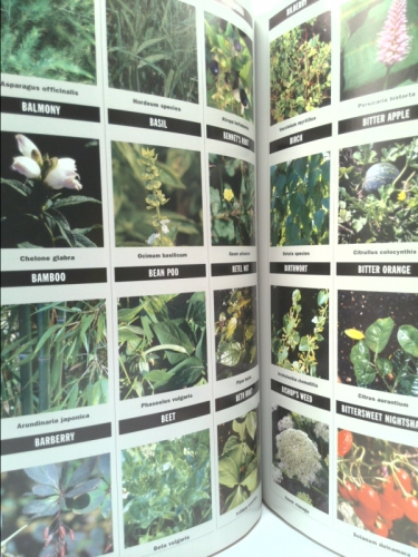 Actual Product Display 3