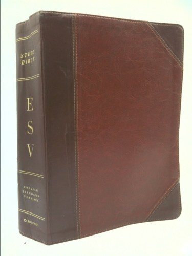 Actual Product Display Primary Cover