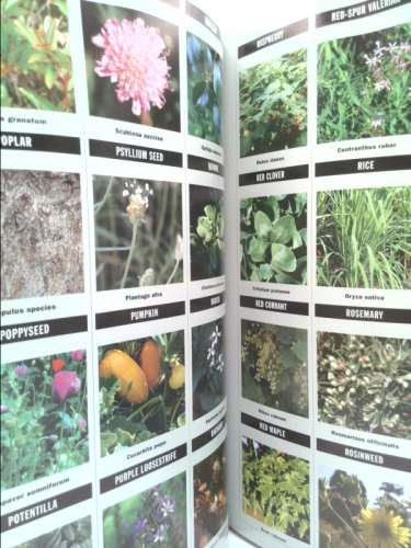 Actual Product Display 3