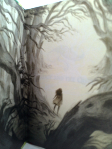 Actual Product Display 4