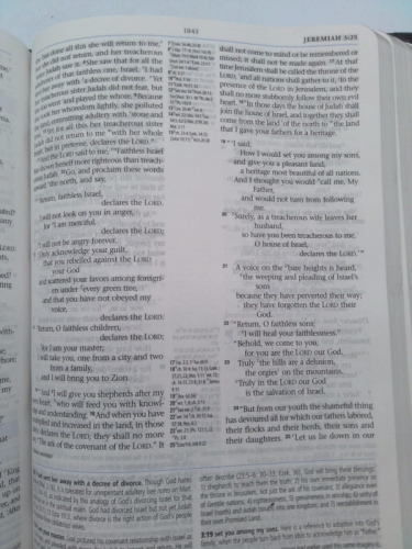 Actual Product Display 2