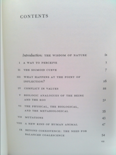 Actual Product Display 4