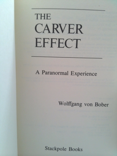 Actual Product Display 3