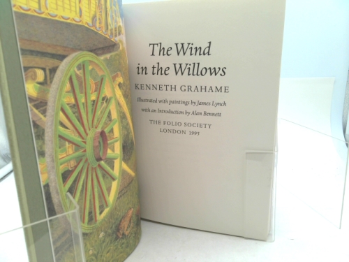 Actual Product Display 2